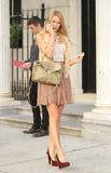 th_92634_celebrity_paradise.com_TheElder_BlakeLively233_122_17lo.jpg