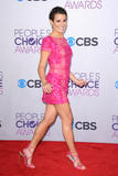 th_22961_Lea_Michele_39th_Annual_Peoples_Choice_Awards_in_LA_January_9_2013_124_122_185lo.jpg